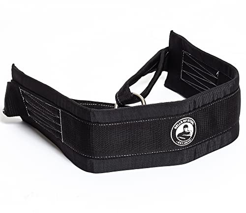 Bells of Steel Dip Belt for Weight Lifting - Commercial and Home Gym Dip Belt Squat Belt for Dips, Belt Squats and Pull-ups - 5 in Width Weighted Dip Belt with Inner Padding, 12 in Chain