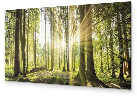 B&D XXL - Handart Wald Kunstdruck auf Leinwand 135x45 cm 1 tlg Groß Kunstbilder wie Handbemalte Wandbilder XXL mit Acrylgel beschichtet Wand Bilder mit Struktur Natur Bäume c-B-0077-b-b