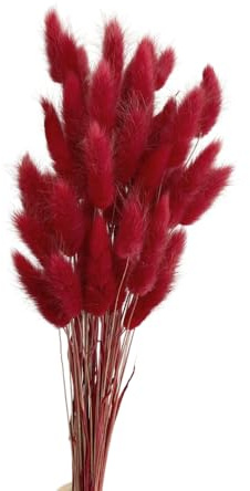 Whakano 50 Pcs Getrocknetes Pampasgras,Natürliche Trockenblumen Blumenstrauß Deko,Boho Tischdeko,Wiederverwendbar für Hochzeit Hause Party Büro Fotografie Wohnzimmer Vase Deko,Dunkelrot