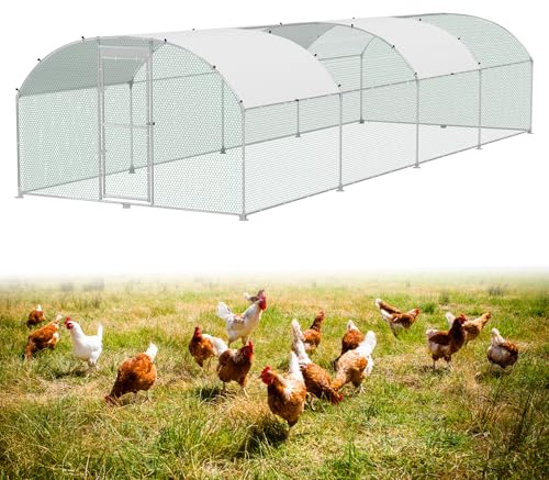 ACXIN Hühnergehege 3x8x2 m Outdoor, Begehbares Freilaufgehege aus Verzinktem Stahl, Hühnerstall mit Drahtgitter, Schloss und Wetterfestem Schutz für Hühner, Enten und Kleintiere Geeignet