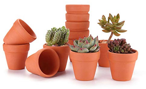 T4U 8CM Small Clay Pots for Crafts 12 Pcs, Mini Terracotta Plant Pots with Drainage Holes, Small Plant Pots for Succulent Cactus Plants, DIY Terra Cotta Pots, Idea Gifts for Party Decor