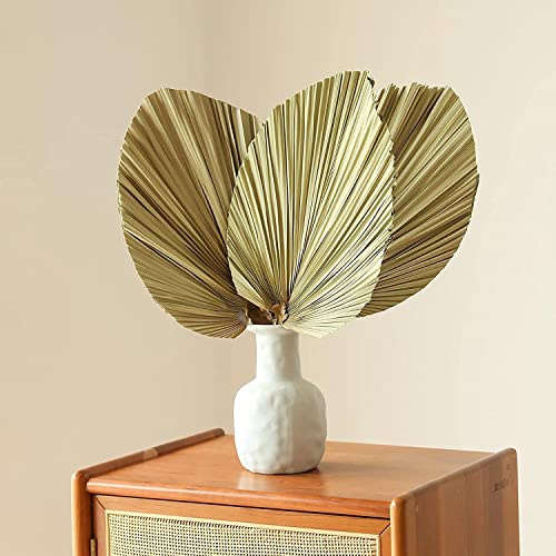 Confezione da 4 ventagli di palma secche naturali con foglie tropicali, foglie di palma secche da 40,5 cm, per decorazioni da parete fai da te, decorazioni per feste, decorazioni per matrimoni