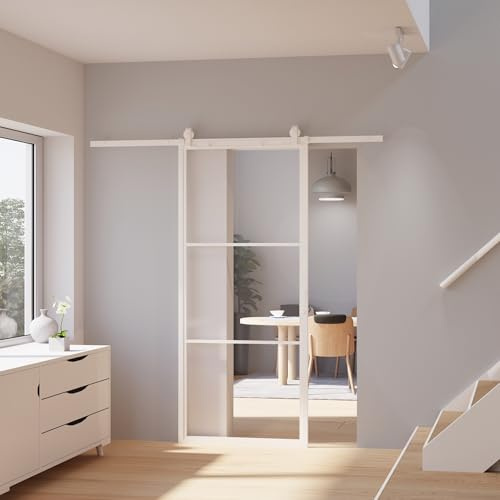 inova Glas-Schiebetür Komplettset klar 1025x2200mm Industriestil weiß offene Laufschiene beidseitiger Softclose