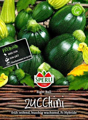 Zucchini Eight Ball F1 Hybride