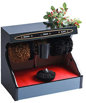 Cireuse de chaussures automatique multifonctionnelle au sol, polisseuse de chaussures Pos pour hôtel d'affaires à double moteur, pour polisseuse de chaussures électrique Family Hotel Bank (Style 6)