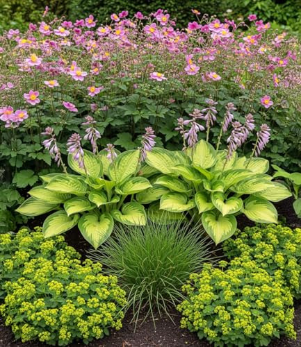 BALDUR Garten 18er Set Staudenbeet Schattengarten, Pflanzen im 9x9 cm-Topf | lange Blütezeit & attraktiver Blattschmuck, schattenliebende Stauden, pflegeleicht & mehrjährig, winterhart