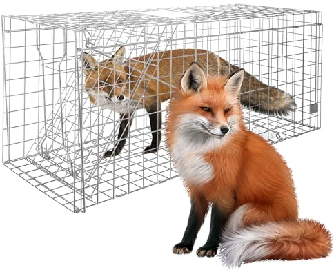 Large Live Animal Trap for Fox,42.5 X15 X17 Extra Large Animal Trap, Live Animal Traps cage for Raccoons Heavy Duty,Fox Traps for Trapping,Coyotes,Humane Catch and Release