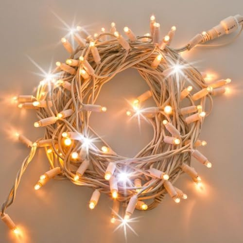 Catena Luminosa Natalizia a LED Luce calda Professionale, 10 metri con 100 LED Ultra-Luminosi, Prolungabile, per Esterni, Effetto Flash, Luci di Natale da Esterno (Luce calda + flash freddo)