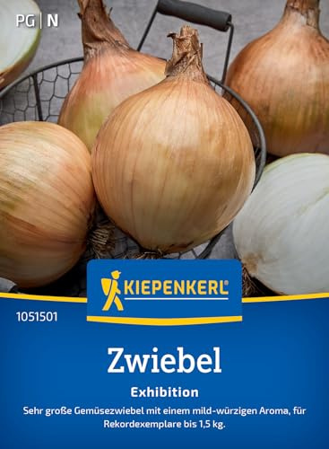 Kiepenkerl Zwiebelsamen Exhibition 1051501, Gemüsesaat | Bis zu 1,5 kg, Inhalt für 8-10 laufende Meter, Lagerfähig