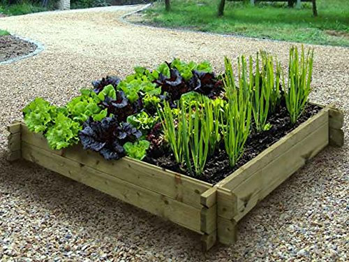 Quickcrop Easy Assemble Raised Bed Kits 6ft x 6ft (22in High)