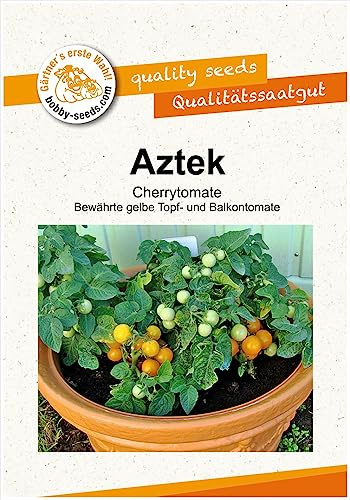 Tomatensamen Aztek Portion