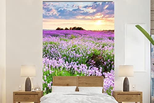 Papier peint Fleurs - Lavande - Violet - Ciel - Coucher de soleil - Prairie - Nature Papier peint photo 170x260 cm Papier peint imprimé