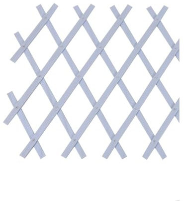 Faura 33014 Treillis PVC Blanc 100 x 200 cm