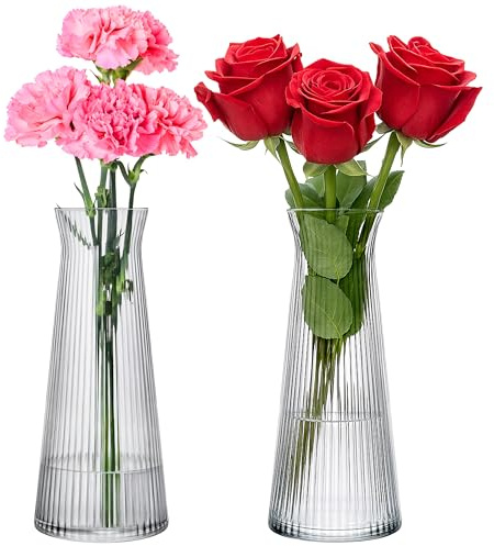 KONZEPT Glasvasen 25cm Hoch, 2er Set Glas Blumenvasen modern, Vasen rillen, klein, Deco für Pampasgras, Tulpen und Trockenblumen