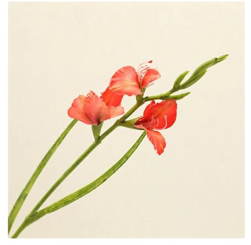 WENH 5Pcs Faux Silk Gladiolus Artificial Flowers For Home Decoration Flowers Wedding Bouquet Party Table Ornaments Photography Props(Orange red)