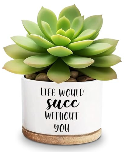 Lasimfa Life would SUCC Without You, vaso in ceramica bianca, per piante grasse, cactus, fiori divertenti, per amanti delle piante, regalo di compleanno, Natale, Ringraziamento, 9,1 cm (pianta non
