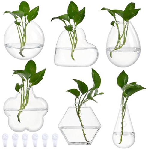 nbeads 6 Pcs 6 Styles Pot de Fleurs Mural, Station de Propagation Jardinière Murale Vase Suspendu en Verre pour Plantes D'Intérieur Décoration de Maison Salon Bureau