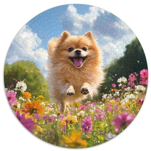 Pommern Puzzle 1000 Teile Rund Fur Erwachsene Und Kinder HaustiErhund Legespiel Geschicklichkeitsspiel Geschenk Fordernd Kleinkinder 1000pcs (67.5x67.5cm)
