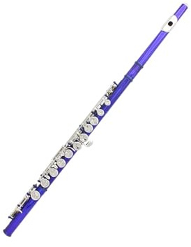 flauta para principiantes Flauta azul de 16 agujeros flauta con llave C con caja de cuero bolsa para flauta accesorios para instrumentos juego de limpieza