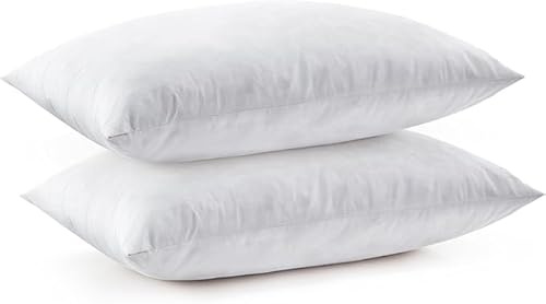 DECODEKO -Relleno de Cojín de Fibra Hueca Siliconada de Alta Recuperación (2/4/6 Unidades),Cojines Sofa con Relleno Incluido,Relleno cojin,Cojín Decorativo para Casa,Suave (2pcs, 30 * 50cm)