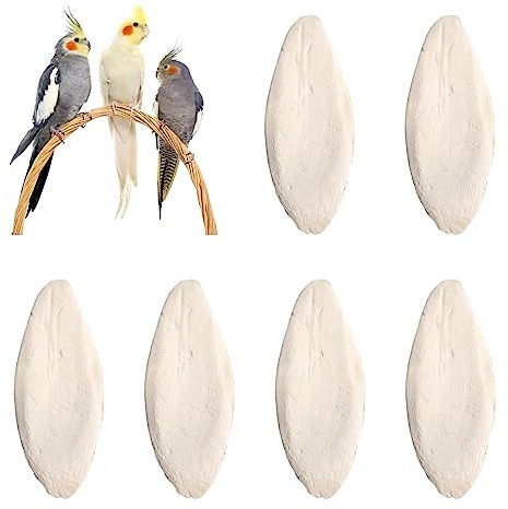 Sepiaschalen,Sepia Schale,Sepia Schalen,Sepia Knochen Sepiaschalen,sepiaschalen für schildkröten,Tintenfische Sepia Knochen,vogelstein,Vogel kauspielzeug,Miniatursepiaschalen handelt,6 Stück