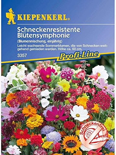 Blumenmischung Schneckenresistente Blütensymphonie