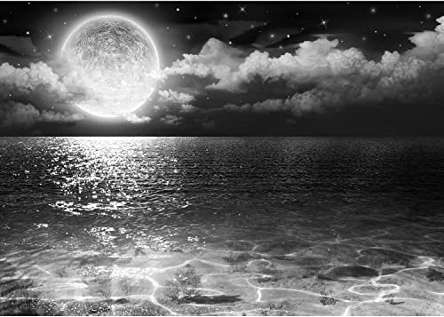 Runa Art Papier peint intissé 396 x 280 cm Pleine Lune Lac | Toison Décoration Murale Salon Chambre á Coucherr | Fabrication Allemande | Noir et blanc 9489012c