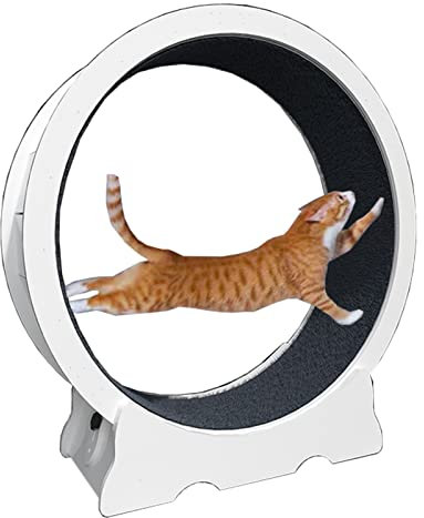 Laufrad für Katzen, Laufband für Katzen mit Kleiner Lücke, weiß, Laufrad für Katzen aus Holz, geräuschlos, verschleißfest, Spielzeug für kleine, mittelgroße und große Katzen, Katzenkratzer 8
