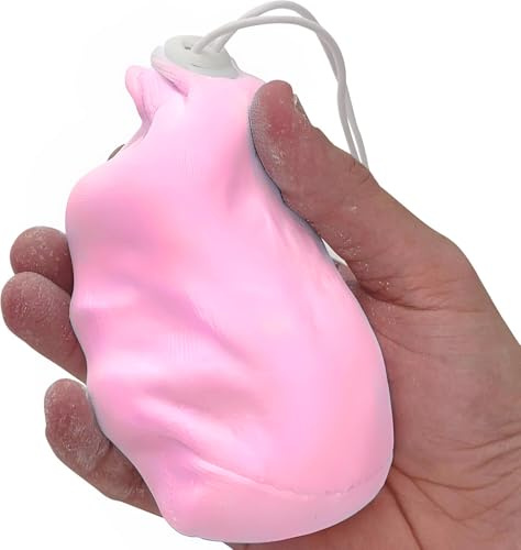 Literal Savage No Mess Climbing Chalk Ball for Lifting, Climbing, Gymnastics & Crossfit – Refillable Chalk Ball with Pure Magnesium Carbonate for Dry Hands & Better Grip – 2.3 oz – Pink