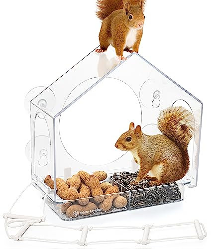 Squirrel-I-View Fenster Eichhörnchen Futterstation - Saugnapf-Futterstation für Eichhörnchen