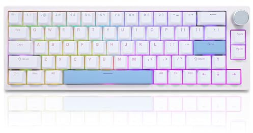 BOYI 66Pro Rapid Trigger Magnetic Switch 65% Mechanical Keyboard,Hall Effect Gasket-Mounted RGB HotSwap Hyper-Fast Adjustable Actuation Wired Compact Gaming Keyboard with Knob(White)