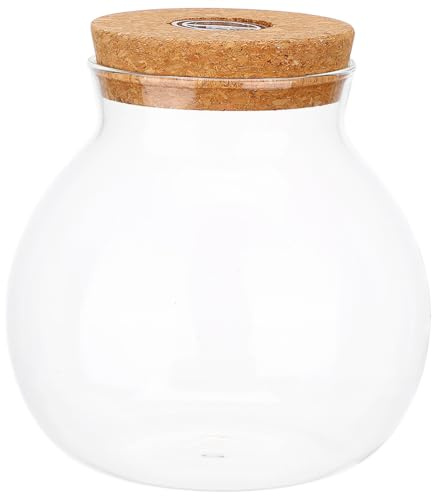 CIMAXIC Vaso per terrario in vetro con coperchio in sughero, vaso per piante idroponiche in vetro con luce, stazione di propagazione da tavolo, bottiglia trasparente per terrario per piante e fiori