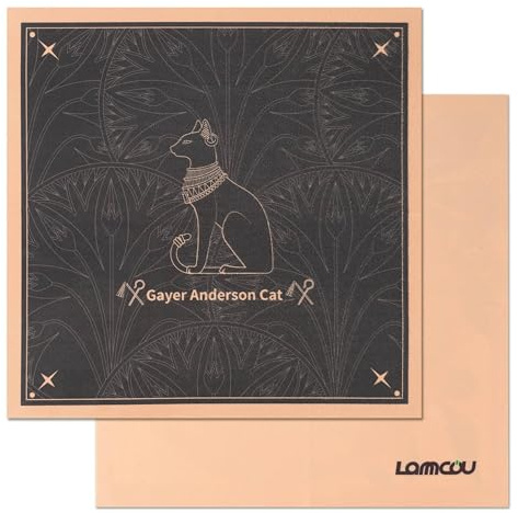 Lammcou Panno per la pulizia in microfibra di qualità ottica, Microfibre Glass Cleaning Cloth senza lanugine per fotocamera, display, tablet, schermo, occhiali, 25 * 25cm, 2 pezzi, nero