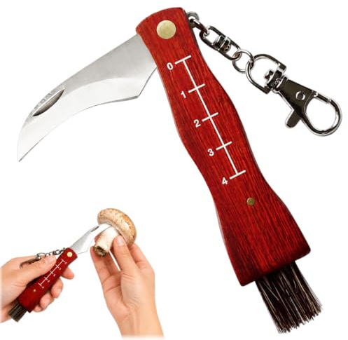UWJOWP Mini Couteau à Champignons avec Brosse Pliable, Lame Inox Manche Poirier Rouge à Échelle, Outil Portable pour Ramasser les Champignons,4cm