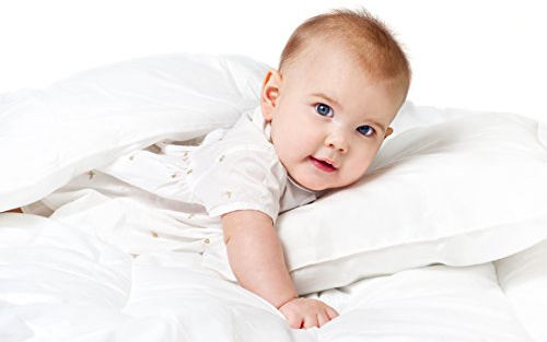 DownTown Company Alpine Year Round White Down Alternative Quilted Comforter, 100% Egyptian Cotton Cover, Plush Fill, Boxed Stitched Design, Crib - Baby - Toddler Size