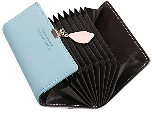 SAMKING Kreditkartenetui Damen, Frauen Leder RFID-Schutz Kartenhalter Geldbörse Klein Geldbeutel Reißverschluss Portemonnaie (Blau 2)