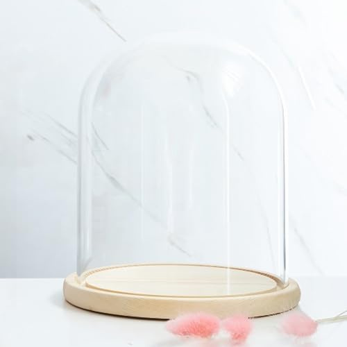 RJMPUCUT Glass Dome Diameter 7, Decorative Glass Cloche Bell Jar Display Dome, Dust Proof Glass Display Dome with Solid Wood Base Office Home Desktop Ornament Decoration