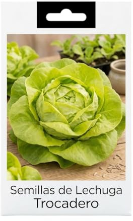 Cultiva Lechuga Trocadero en Casa | Semillas DECOALIVE para Jardín o Terraza