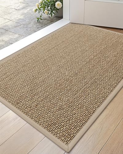 DEXI Ultra Thin Entryway Indoor Door Mat 24x36, Non Slip Rubber Backing Inside Entry Mat, Low Profile Easy Clean Dirt Trapper Doormat for Inside Entrance Patio, Beige