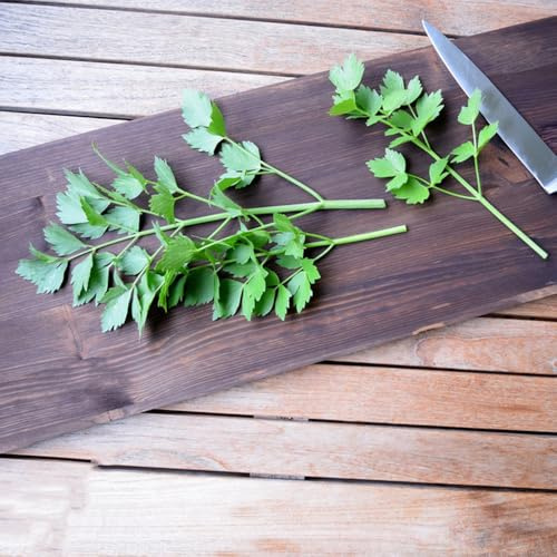 Comprar semillas de apio cocina de jardín, apio orgánicas, orgánicas de jardín 300pcs