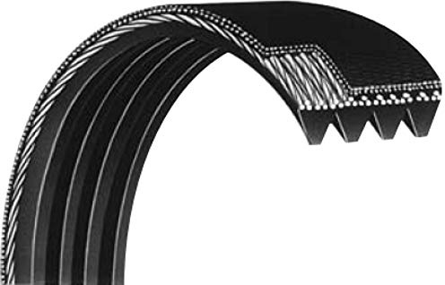 4PJ307 Keilrippenriemen Rippenband 4PJ 307 für Kompressor OL195 SP200
