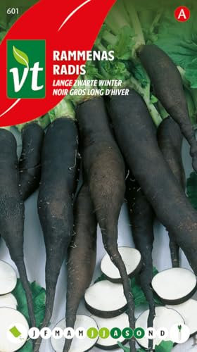 Black Radish Long Winter - Seeds per Gram - Forms a Long Black Carrot with White Flesh - 8 g - Seeds per Gram: 120