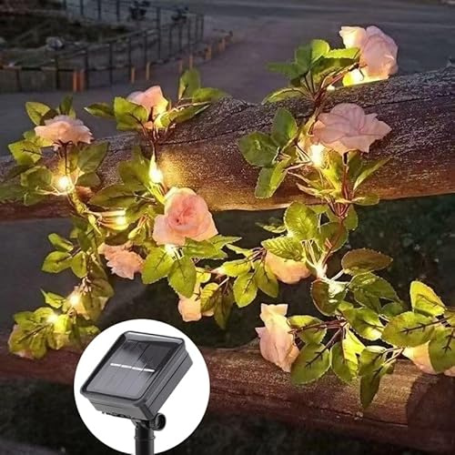 Flarion Guirlande lumineuse solaire pour décoration extérieure - Lierre artificiel - Étanche - Fleur de champagne - Décoration pour jardin, balcon, terrasse, clôture, mariage (2 m, 20 LED)