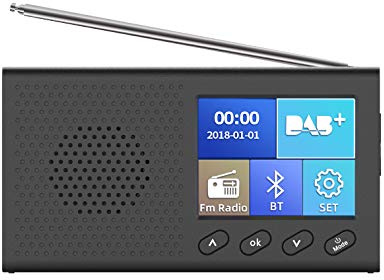 Récepteur TOTMOX Dab, Radio numérique Dab Portable multifonctionnelle pour Un Usage Domestique, Prise en Charge des Stations de Radio Dab/Dab + et FM Bluetooth