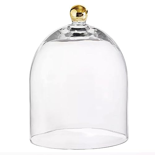 Santa Barbara Design Studio Glass Dome Food Cover Gold Knob Cloche, Small, Clear