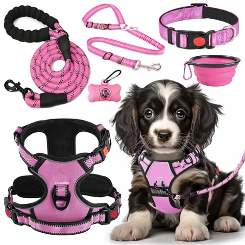 LOBEVE Anti-Zug Hundegeschirr Set mit Halsband & Leine | Inkl. Auto Sicherheitsgurt, Faltbare Näpfe & Kotbeutelspender | Für kleine bis große Hunde | Ideal für Spaziergänge, Training & Reisen
