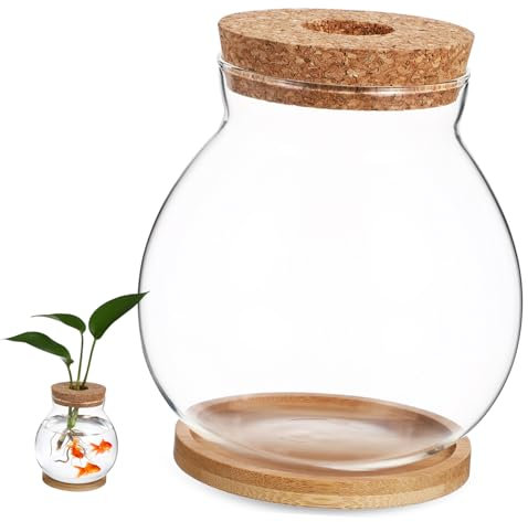 Yardwe Aquarium Hydroponique avec Couvercle Terrarium Décoratif pour Et Plantes Réservoir Betta Tapis