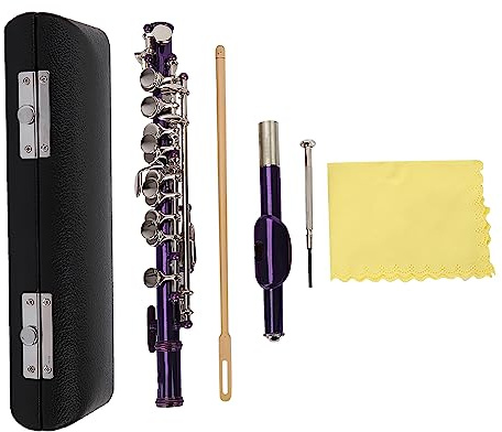 Tissting Ottavino C Argento Smontabile, Kit Pulizia con Cacciavite e Custodia in Pelle PU per Strumenti Musicali (Viola)
