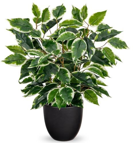 Hollyone 40CM Artificial Ficus Plant in Pot, Fake Plants Indoors with Black Pot, Variegated Faux Plants Decorative Greeneries for Home Decor, Living Room, Kitchen Decorations, Office Windowsill