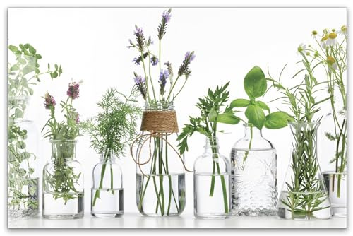 Herdabdeckplatte 80x52 cm einteilig aus 4mm ESG Glas | Kräuter in Glasvasen – Frische Kräuter, Küchenkräuter im Glas | Herd Abdeckung Induktion Schneidebrett für Ceranfeld